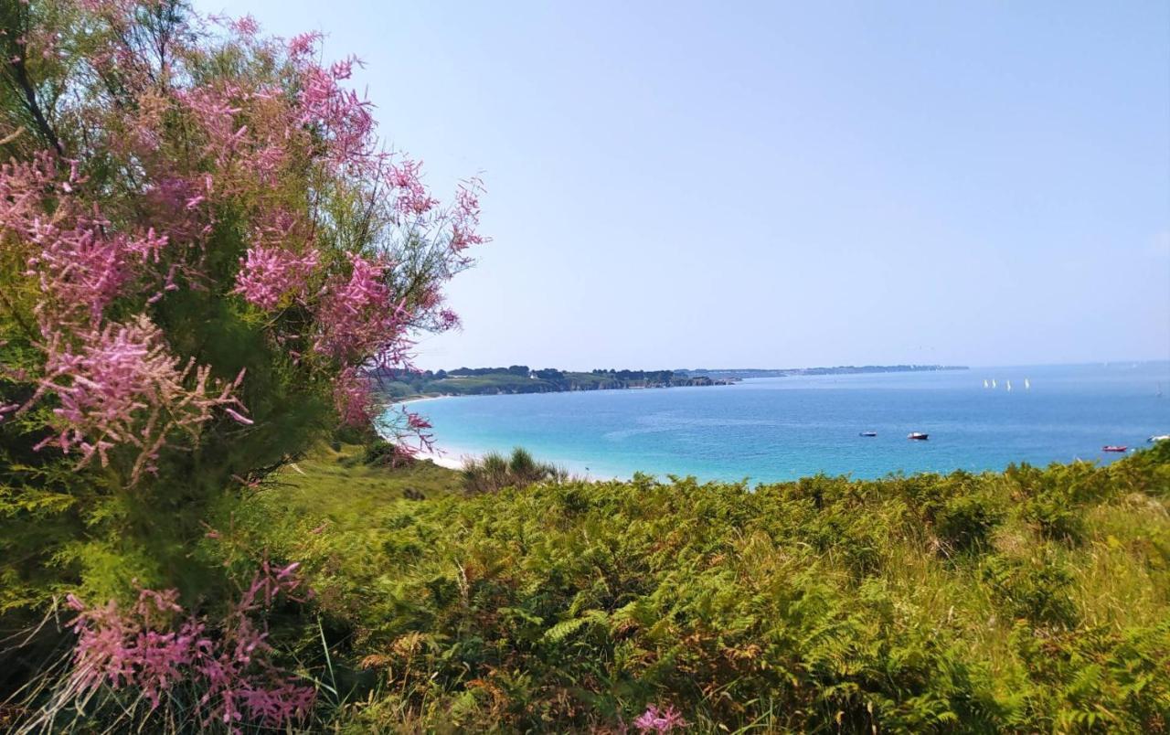 Les Maisons De Kerdavid'Ile - Votre Residence De Vacances A Belle Ile En Mer Locmaria Eksteriør billede