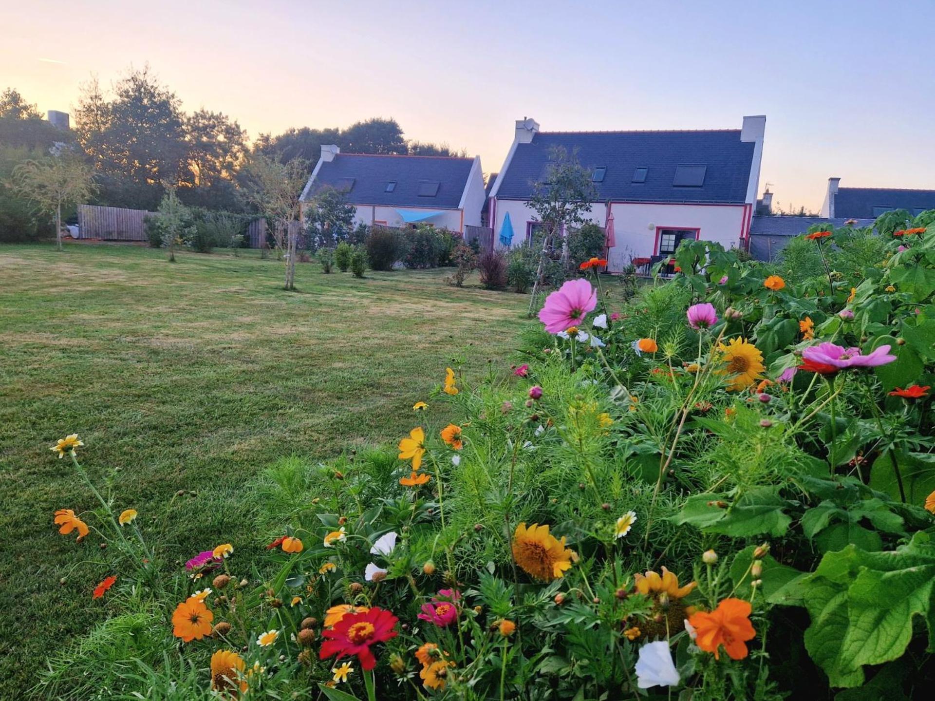 Les Maisons De Kerdavid'Ile - Votre Residence De Vacances A Belle Ile En Mer Locmaria Eksteriør billede
